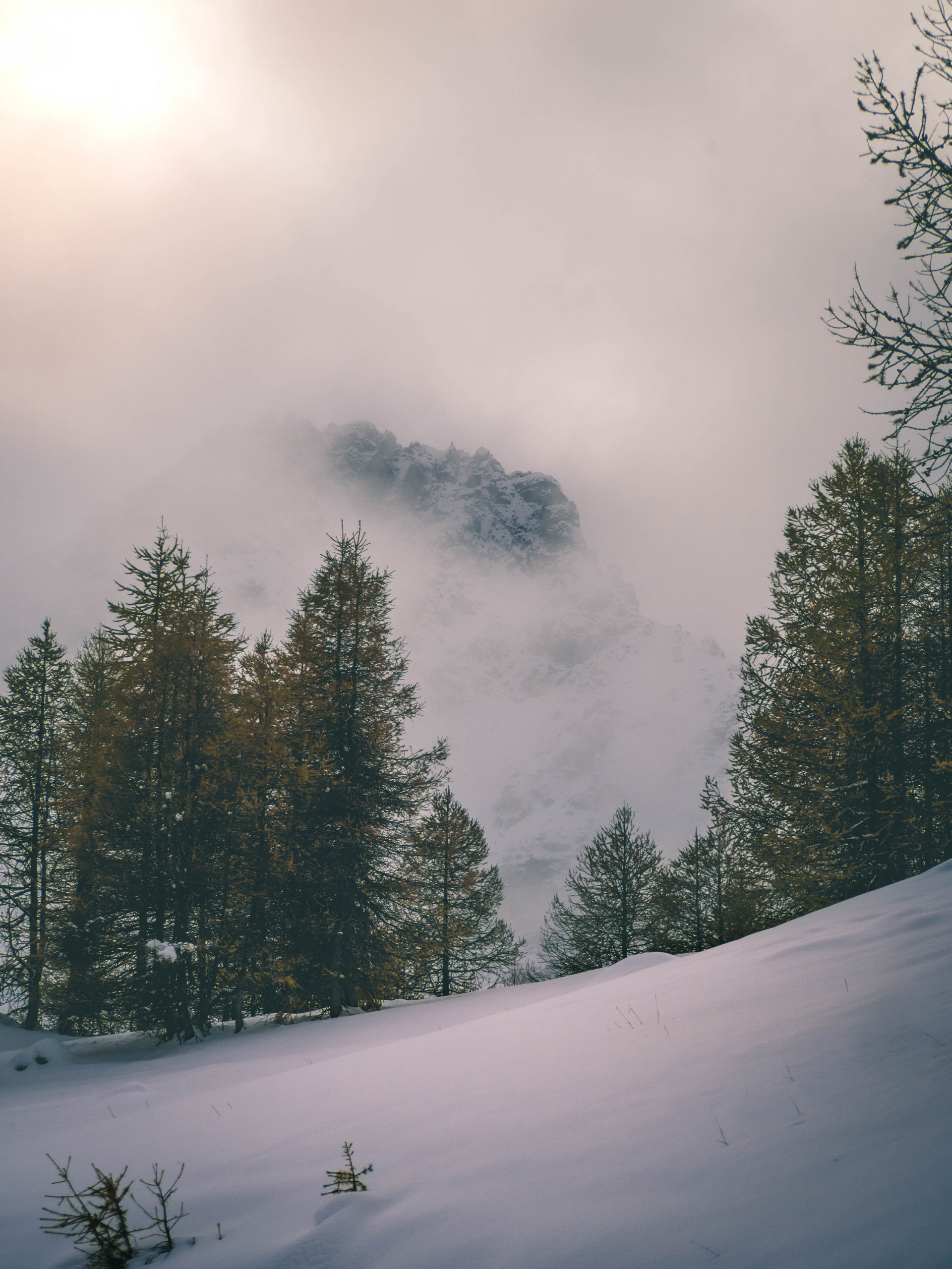Galene_winter_landscape